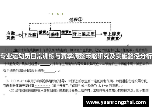 专业运动员日常训练与赛季调整策略研究及实施路径分析