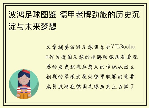 波鸿足球图鉴 德甲老牌劲旅的历史沉淀与未来梦想