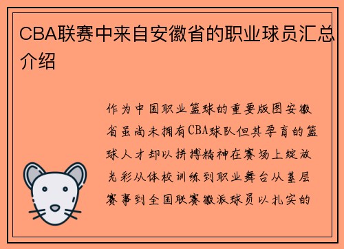 CBA联赛中来自安徽省的职业球员汇总介绍